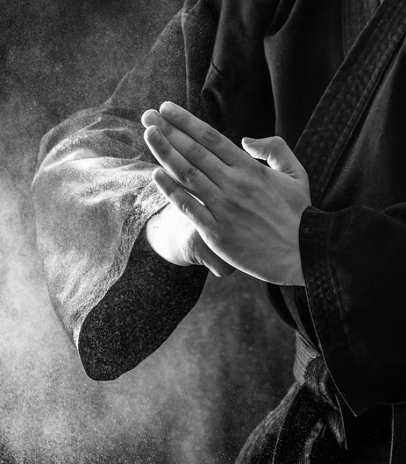 Martial arts training image featured on GRBSF’s existing About page.